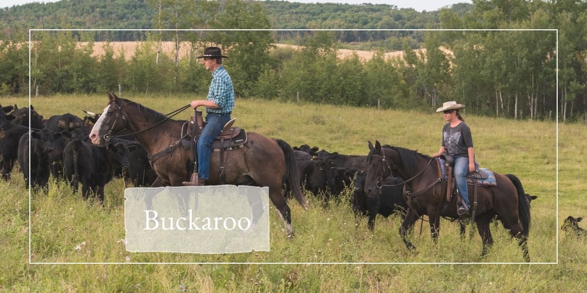 You are currently viewing Buckaroo