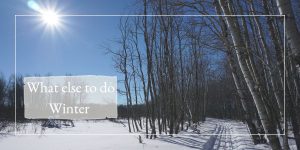 Read more about the article What else to do – Winter edition