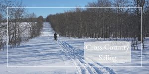 Read more about the article Cross-country Skiing – Visit us for a fun day!