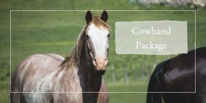 Read more about the article Cowhand Package