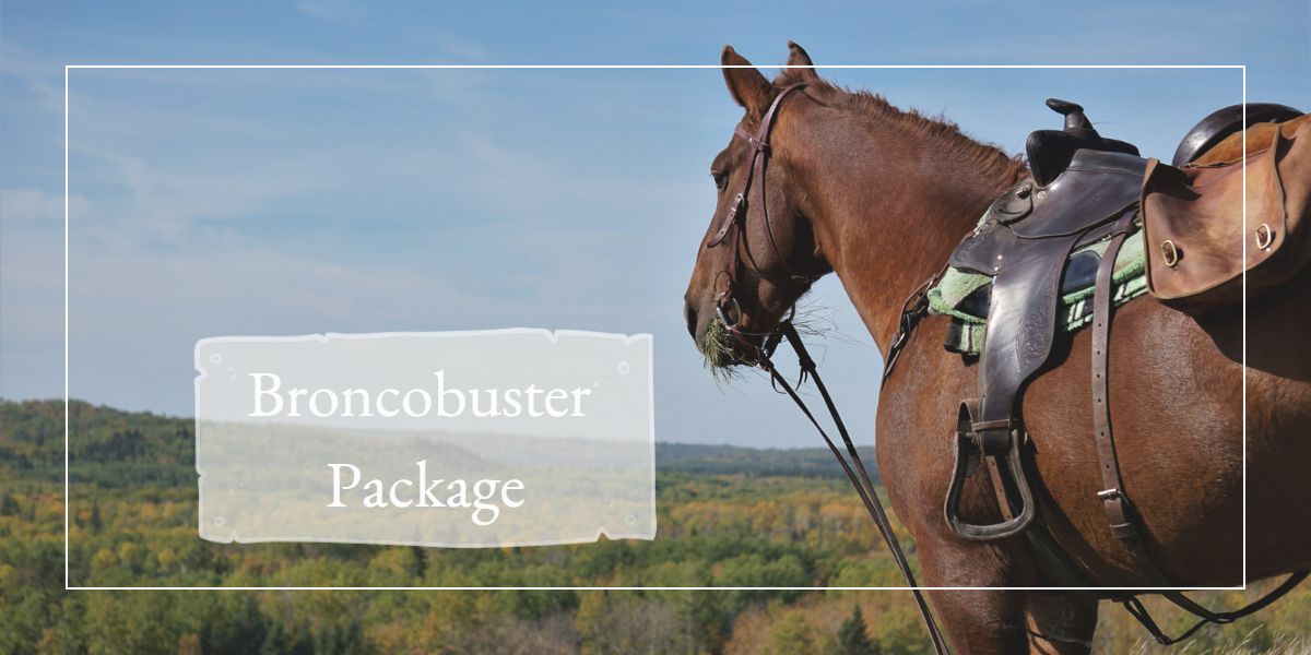 Read more about the article Broncobuster Package
