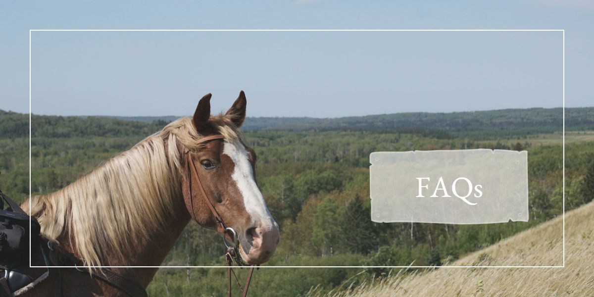Read more about the article Riding: Frequently Asked Questions (FAQs)