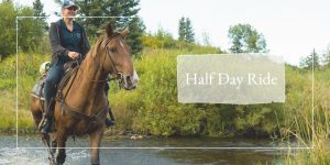 Read more about the article Half day ride – 4+ hours of riding in the National Park
