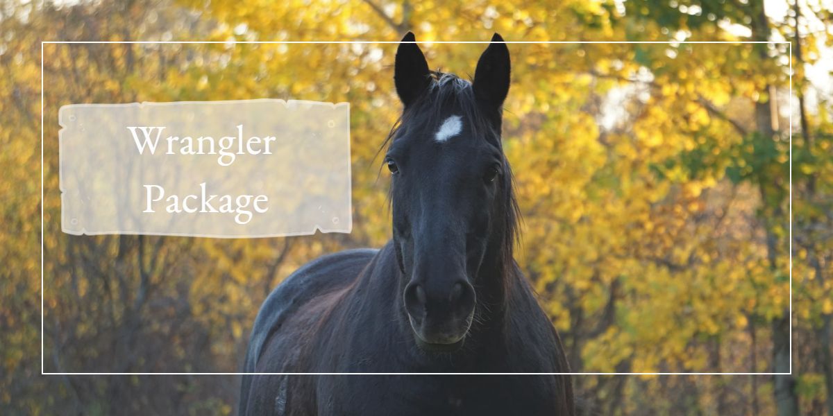 Read more about the article Wrangler Package