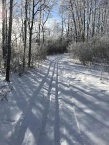 winter-2018-19-crosscountry-trails